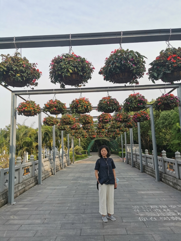 一叶知秋的第一张照片--福建闪婚服务中心