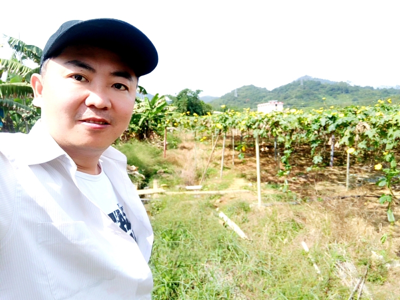 真诚找女伴的第一张照片--福建闪婚服务中心