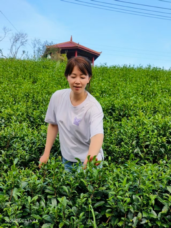 Q绮芳的第一张照片--福建闪婚服务中心